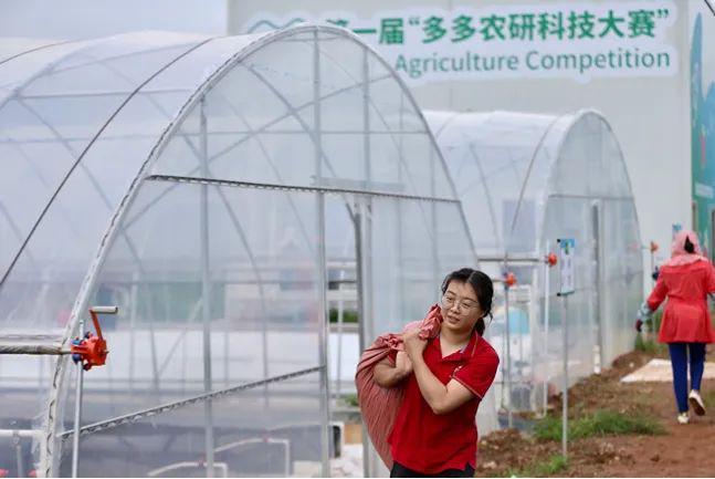 多多十年启示录AG真人中国拼(图1) 多多十年启示录AG真人中国拼(图1)